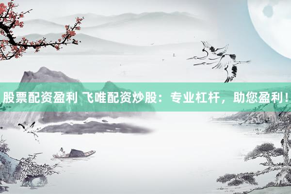 股票配资盈利 飞唯配资炒股：专业杠杆，助您盈利！