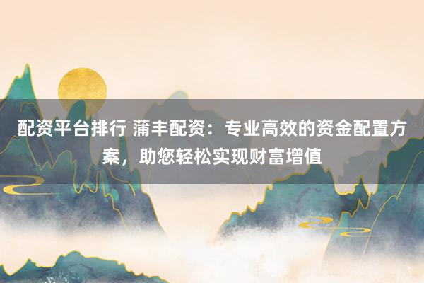 配资平台排行 蒲丰配资：专业高效的资金配置方案，助您轻松实现财富增值