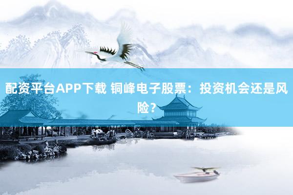配资平台APP下载 铜峰电子股票：投资机会还是风险？