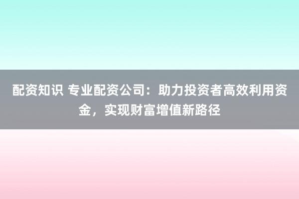 配资知识 专业配资公司:助力投资者高效利用资金,实现财富增值新路径