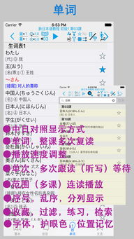 新日本语教程 初级1app下载 新日本语教程 初级1手机版下载 手机新日本语教程 初级1下载